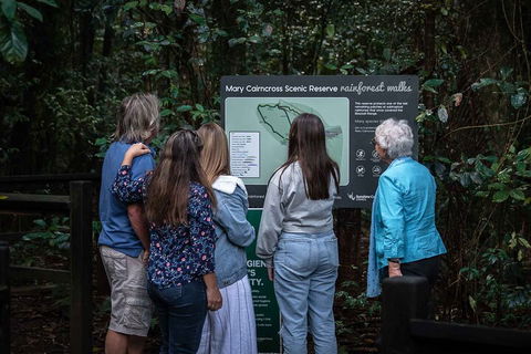 Sunshine Coast Hinterland And Noosa Day Trip From Brisbane Including Eumundi Markets And Ginger Factory - Sydneys Hotel 0