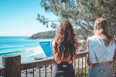 Sunshine Coast Hinterland And Noosa Day Trip From Brisbane Including Eumundi Markets And Ginger Factory - Sydneys Hotel 2