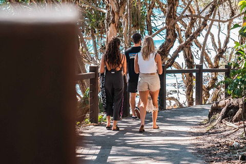 Sunshine Coast Hinterland And Noosa Day Trip From Brisbane Including Eumundi Markets And Ginger Factory - Sydneys Hotel 4