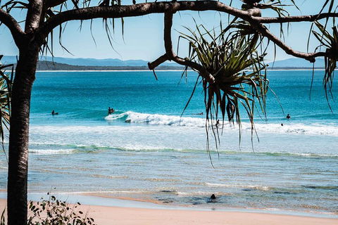 Sunshine Coast Hinterland And Noosa Day Trip From Brisbane Including Eumundi Markets And Ginger Factory - Sydneys Hotel 5