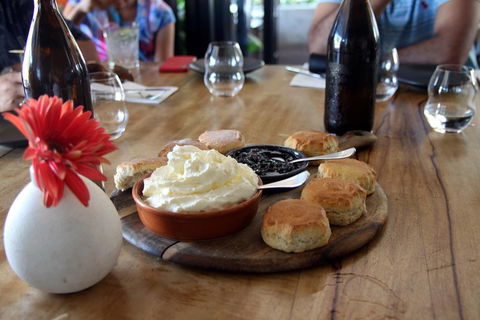 Small-Group Afternoon Cairns City Tour With Harbour Dinner Cruise - Sydneys Hotel 3