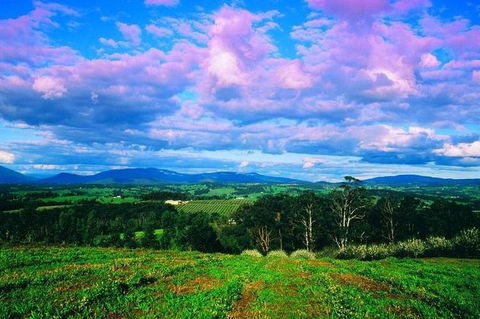 CHEVY CONVERTIBLE Package For 4 -Wine Lunch Cheese & Chocolate From Yarra Valley - Sydneys Hotel 4