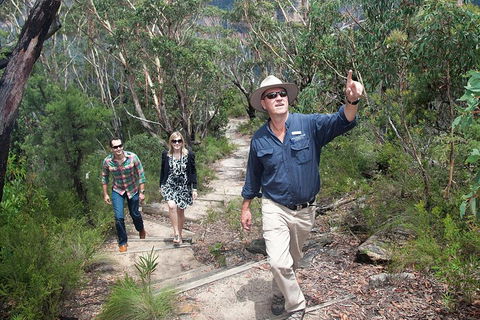 Small-Group Blue Mountains Tour With Bush Walks And Featherdale Wildlife Park - Sydneys Hotel 0