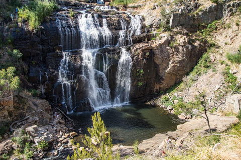 Great Ocean Road Grampians 3 Day National Park Tour Melbourne Roundtrip - Sydneys Hotel 2