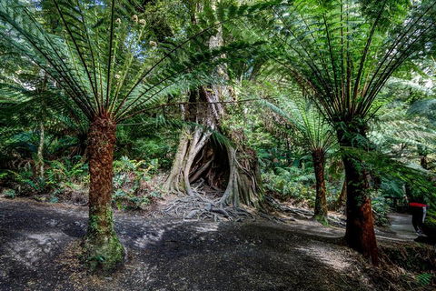 Adelaide To Melbourne 3-Day Trip Through Grampians And Great Ocean Road - Sydneys Hotel 0