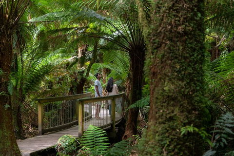 Great Ocean Road To Grampians 2 Day 1 Night Tour From Melbourne To Adelaide - Sydneys Hotel 0