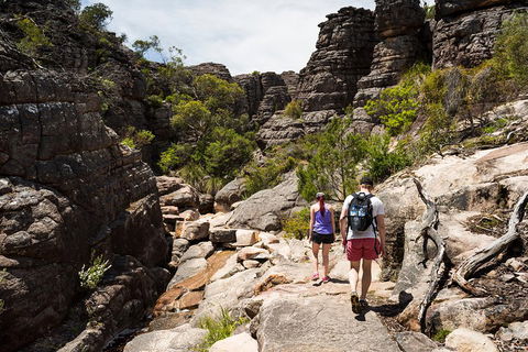 Grampians National Park With Kangaroos And MacKenzie Falls From Melbourne - Sydneys Hotel 3