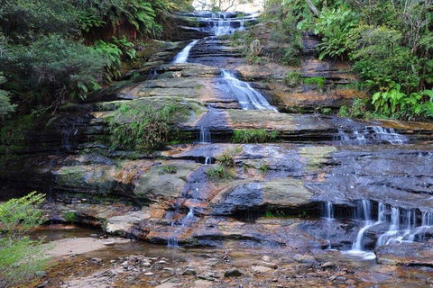 Blue Mountains Day Trip From Sydney With Amazing Lookouts (Private Tour) - Sydneys Hotel 4
