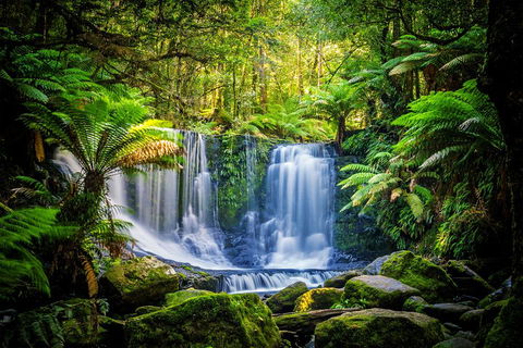 Day Tour In Mt. Field, Mt. Wellington, Bonorong Wildlife Sanctuary And Richmond - Sydneys Hotel 0