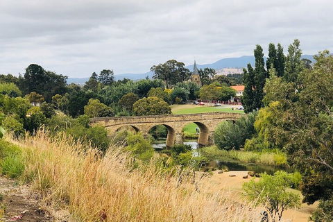 Day Tour In Mt. Field, Mt. Wellington, Bonorong Wildlife Sanctuary And Richmond - Sydneys Hotel 3