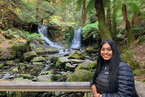 Day Tour In Mt. Field, Mt. Wellington, Bonorong Wildlife Sanctuary And Richmond - Sydneys Hotel 5
