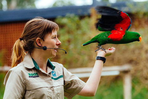 VIP Sanctuary Tour At Healesville Sanctuary Ticket - Sydneys Hotel 0