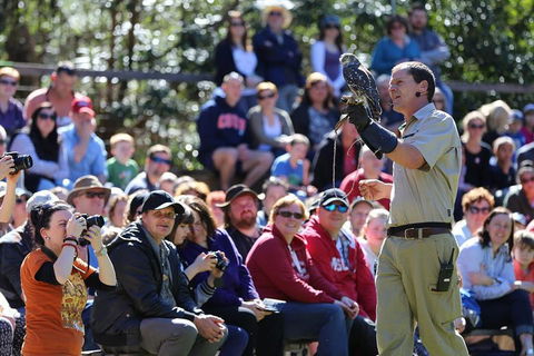 VIP Sanctuary Tour At Healesville Sanctuary Ticket - Sydneys Hotel 4