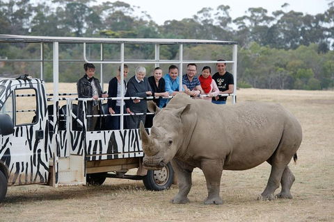 Off-Road Safari At Werribee Open Range Zoo - Sydneys Hotel 0