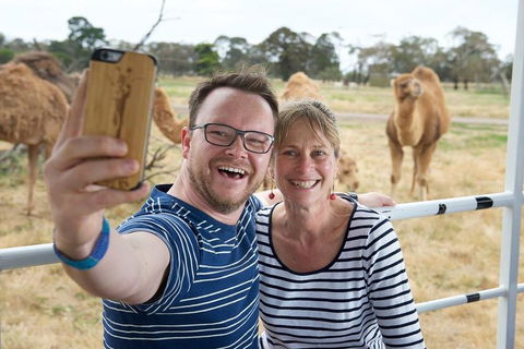 Off-Road Safari At Werribee Open Range Zoo - Sydneys Hotel 1