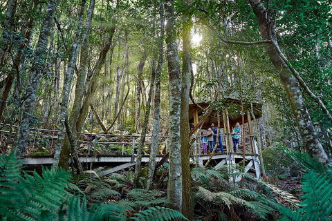Private Blue Mountains Tour - Sydneys Hotel 4