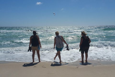 Very Best Of Perth Tour - Wildlife Park & City Highlights Tour - Sydneys Hotel 5