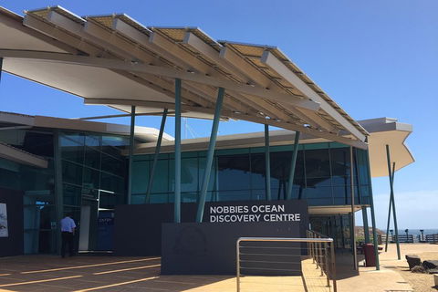 Phillip Island Penguin And Koala Highlights Day-Trip From Melbourne - Sydneys Hotel 1