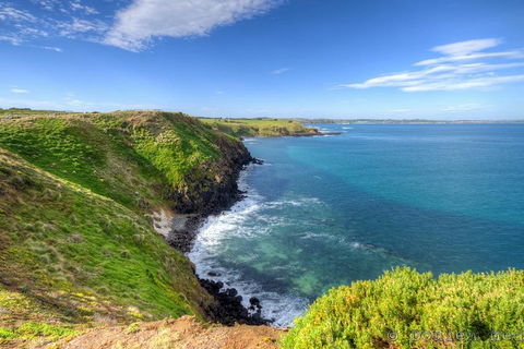 Phillip Island Penguin And Koala Highlights Day-Trip From Melbourne - Sydneys Hotel 5