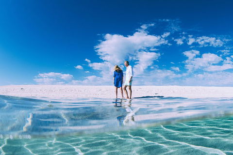 4-Day Coastal Loop Via Monkey Mia Wild Dolphins Kalbarri Pinnacles Perth Return - Sydneys Hotel 0