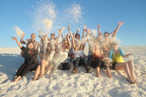 4-Day Coastal Loop Via Monkey Mia Wild Dolphins Kalbarri Pinnacles Perth Return - Sydneys Hotel 1