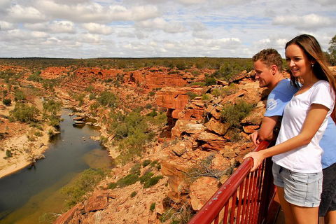 4-Day Coastal Loop Via Monkey Mia Wild Dolphins Kalbarri Pinnacles Perth Return - Sydneys Hotel 3