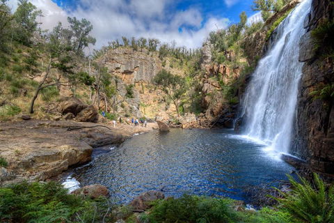 Melbourne To Adelaide South East Coast 3 Day Overland Tour - Sydneys Hotel 4