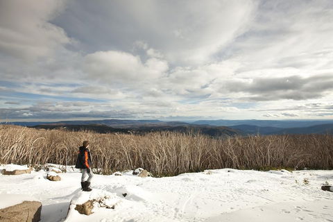Lake Mountain Snow Trip Including Yarra Valley Chocolaterie From Melbourne - Sydneys Hotel 5