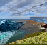 Small-Group Phillip Island Day Trip from Melbourne with Penguin Plus Viewing - Sydneys Hotel