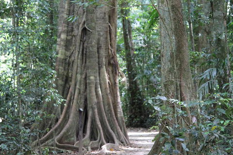 Noosa And Sunshine Coast Hinterland Day Trip From Brisbane - Sydneys Hotel 3