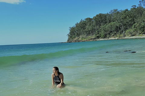 Noosa And Sunshine Coast Hinterland Day Trip From Brisbane - Sydneys Hotel 4