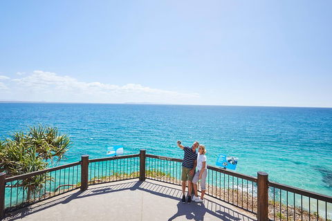 Noosa Everglades Serenity Cruise & Highlights Tour Inc. Lunch & Cruise - Sydneys Hotel 3