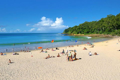 Noosa Everglades Serenity Cruise & Highlights Tour Inc. Lunch & Cruise - Sydneys Hotel 4