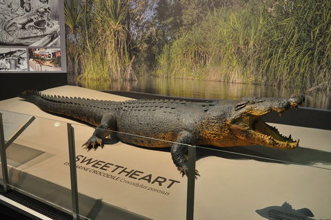 Explore Darwin City Sights Including Key Attractions - Sydneys Hotel 2