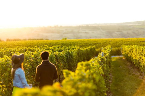 Margaret River Private Tour - Sydneys Hotel 2