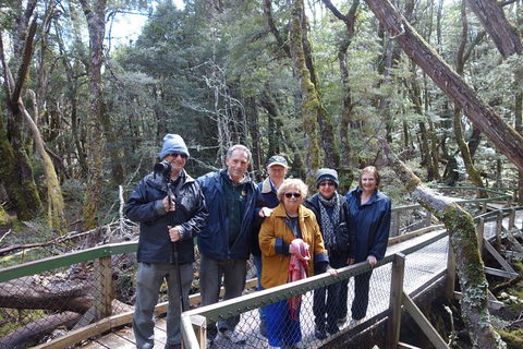 Blue Mountains Private Tour With Wildlife Park And River Cruise - Sydneys Hotel 2