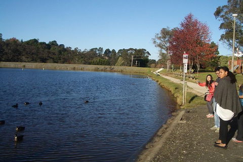 PRIVATE All-Day Blue Mountains Tour With Professional Guide For Up To 4 People - Sydneys Hotel 2