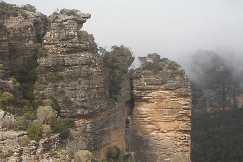 Private Blue Mountains Tour With Expert Guide - Sydneys Hotel 5