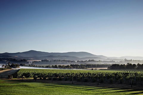 Chauffeur Driven Yarra Valley Group Wine Tour - Up To 7 - Sydneys Hotel 2