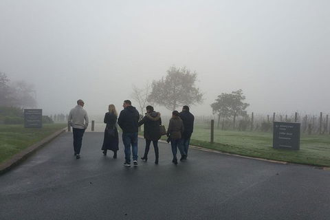 Chauffeur Driven Yarra Valley Group Wine Tour - Up To 7 - Sydneys Hotel 4