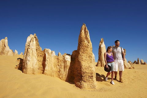 Pinnacles Day Trip From Perth Including Yanchep National Park - Sydneys Hotel 0