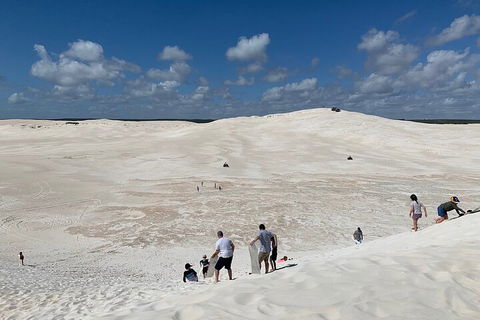 Pinnacles Day Trip From Perth Including Yanchep National Park - Sydneys Hotel 2