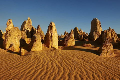 Pinnacles Day Trip From Perth Including Yanchep National Park - Sydneys Hotel 5
