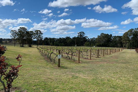 Private Day Trip To Hunter Valley From Sydney With Pickup - Sydneys Hotel 3