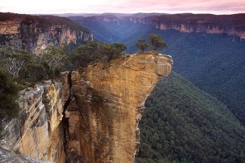 Private Tour: Blue Mountains And Jenolan Caves Day Trip From Sydney - Sydneys Hotel 0