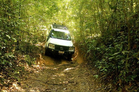 Barron Gorge And Kuranda National Park Half Day Rainforest And Waterfall 4WD Tour From Cairns - Sydneys Hotel 2