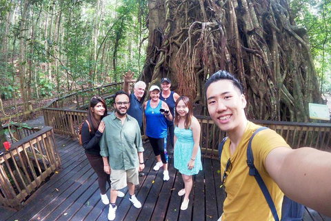 Barron Gorge And Kuranda National Park Half Day Rainforest And Waterfall 4WD Tour From Cairns - Sydneys Hotel 5