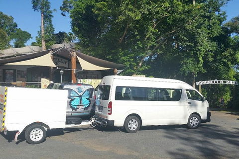 Airport Transfer To Or From Cairns Hotels For Up To 13 People - Sydneys Hotel 4