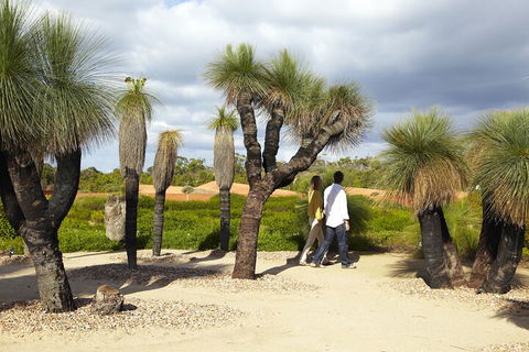 1 Day Exclusively Private Tour Of Phillip Island & The Penguin Parade - Sydneys Hotel 0