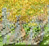 Margaret River Indulge and Discover Day Tour - Sydneys Hotel
